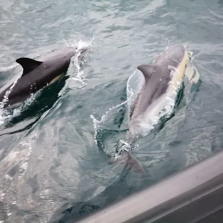 Marnix's Apartament Nazaré